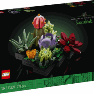Botanicals mini succulents - set 10309