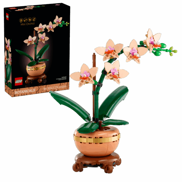 Botanicals Mini Orchid - set 10343