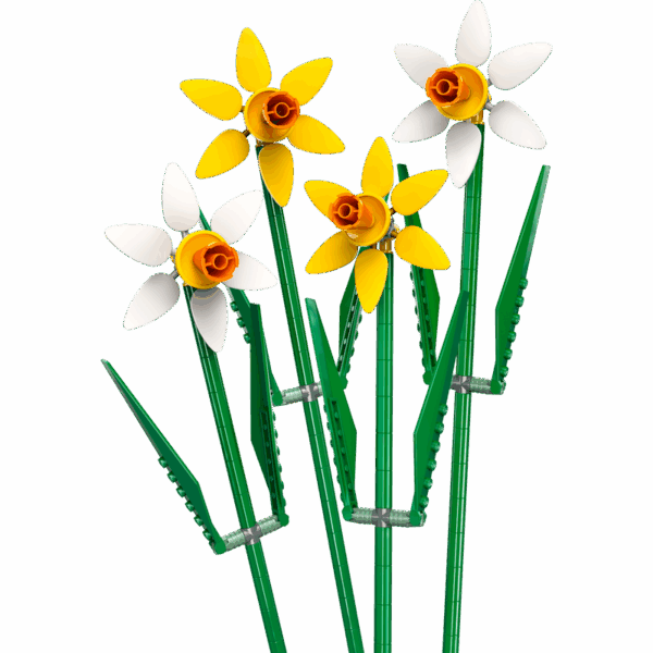 Daffodils (narcisos) - set 40747 - Image 2