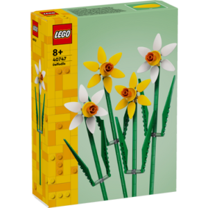 Daffodils (narcisos) - set 40747