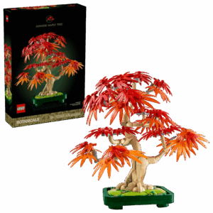 Botanicals Japanese Red Maple Bonsai Tree - set 10348