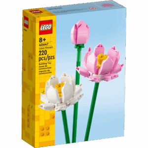 Lotus flowers (flores de loto) - set 40647